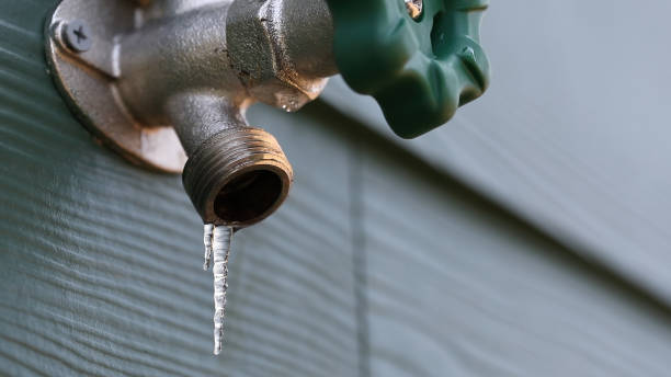 Best Shower Repair Services  in Belding, MI