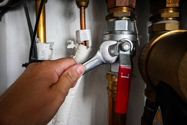 Best Plumbing Services Near Me  in Belding, MI